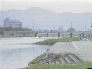 bridge19.jpg